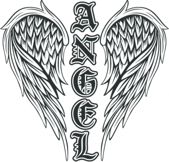 Samolepka Angel křídla