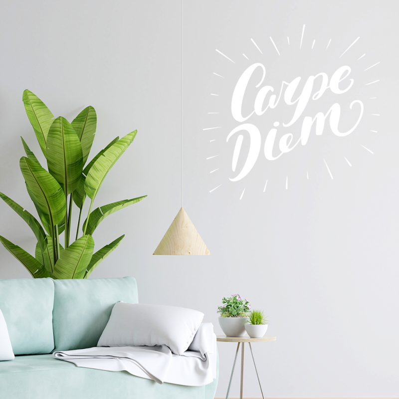 Samolepka Carpe diem