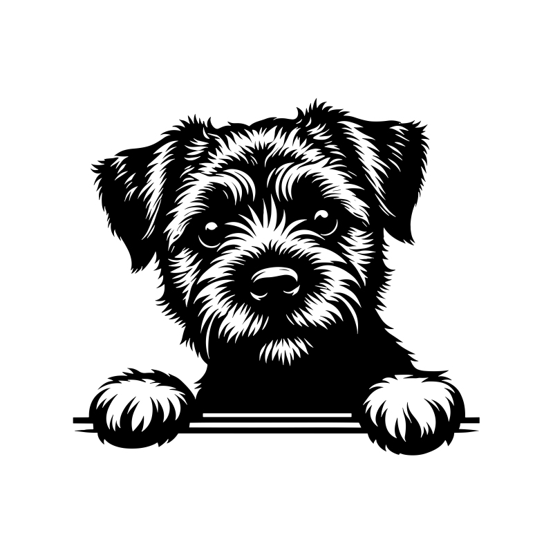 Samolepka pes Border teriér