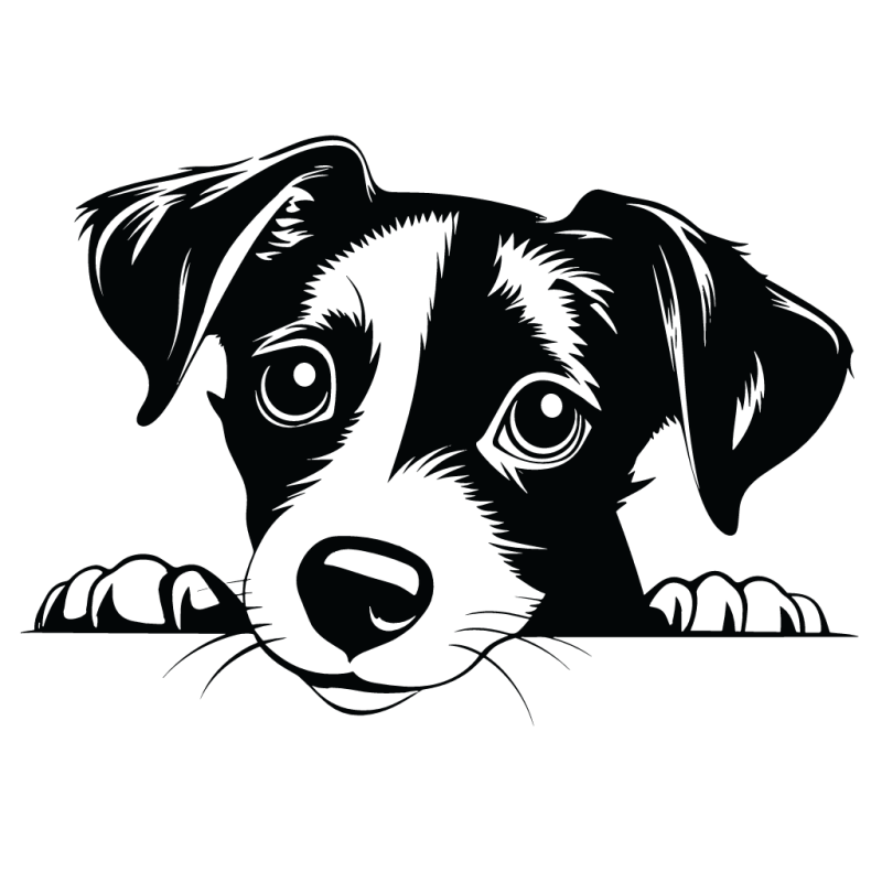 VÝPREDAJ Pes Jack russell - 20 x 14 cm