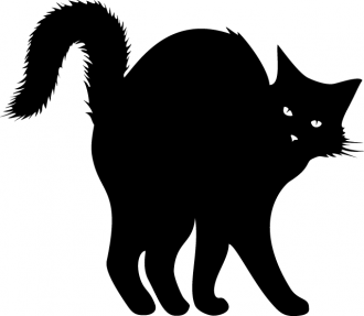Samolepka Kočka černá