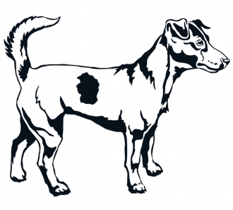 Samolepka  Jack Russell Teriér