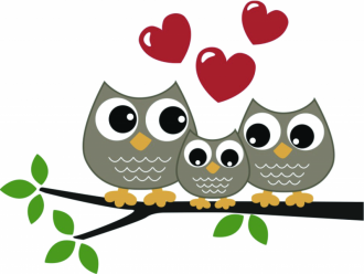 Barevná soví rodinka