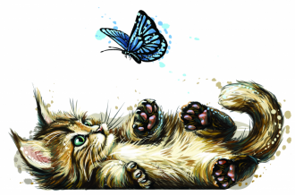 Kočička s motýlkem