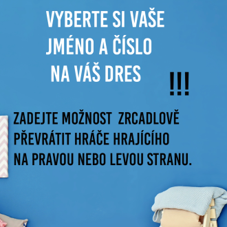 Samolepka Hokejový dres se jménem