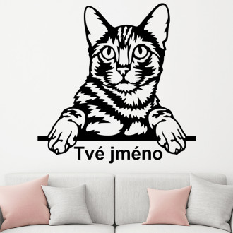 Samolepka Kočička s vlastním jménem