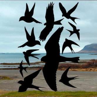 Samolepka Silueta dravce, proti narážení ptáků do skla